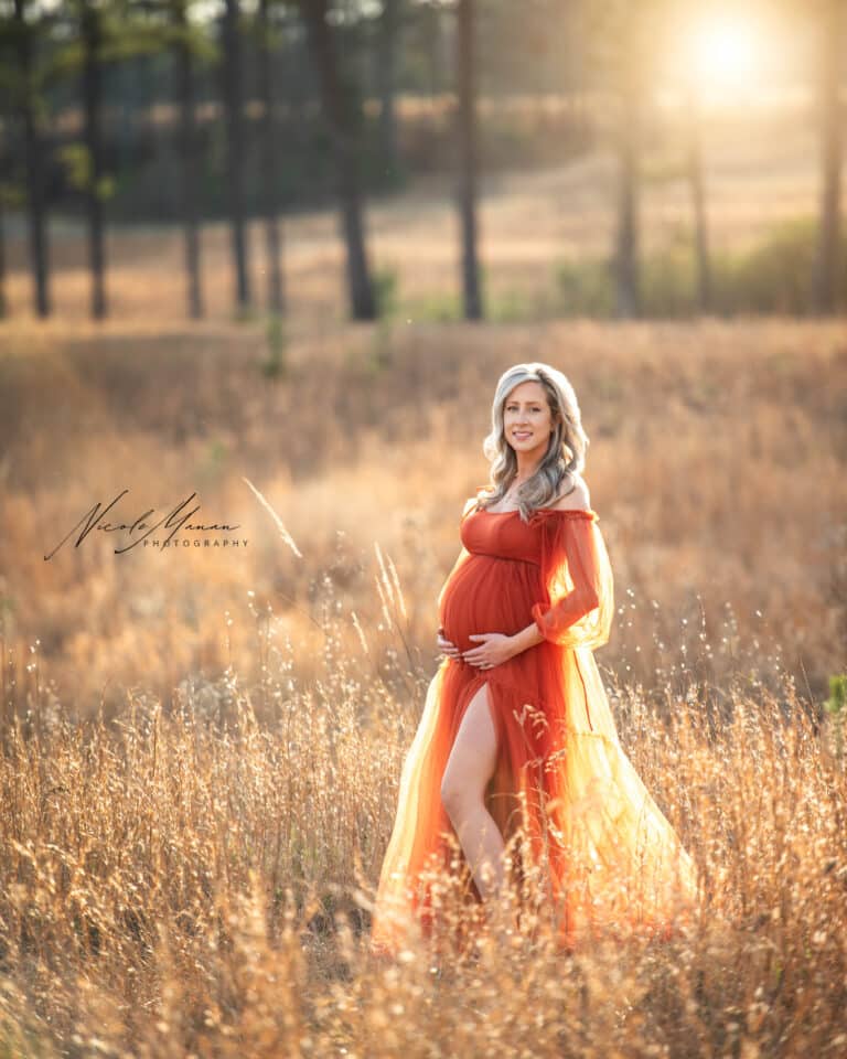 A beautiful pregnant woman during her maternity session in a wheat field at golden hour