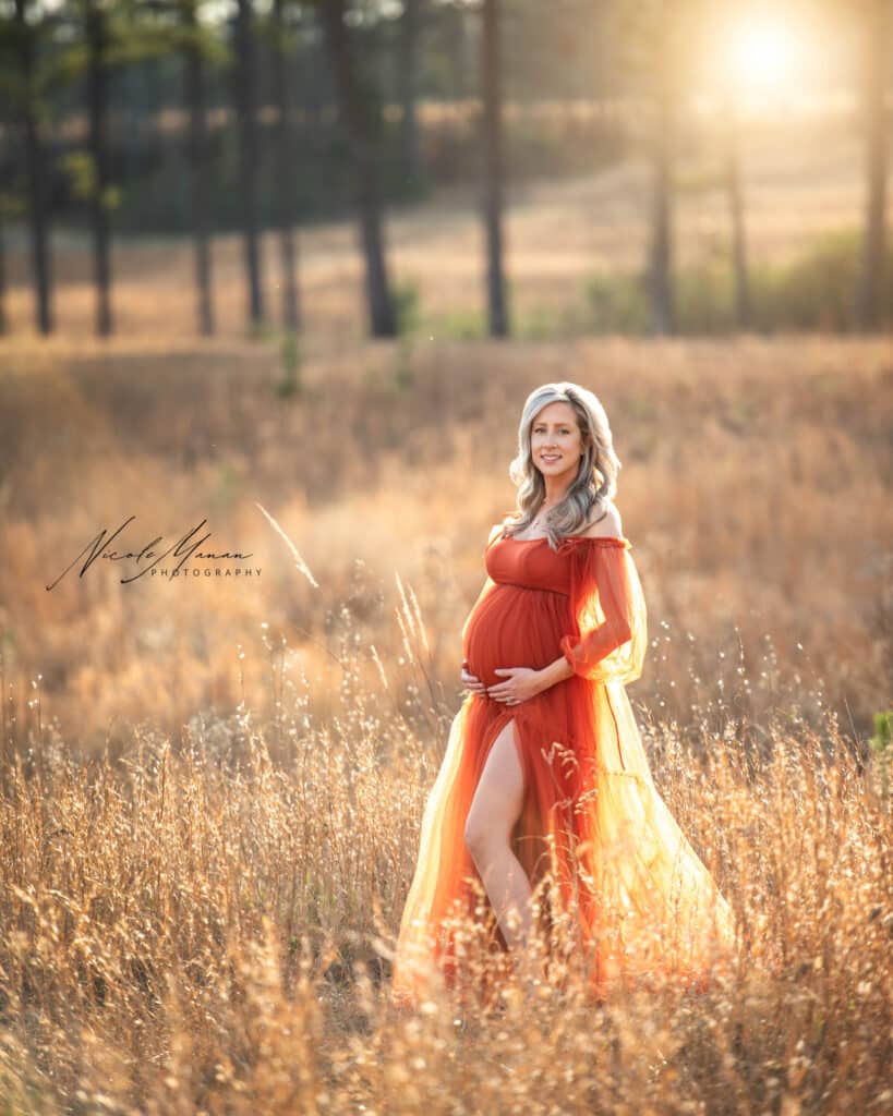 A beautiful pregnant woman during her maternity session in a wheat field at golden hour
